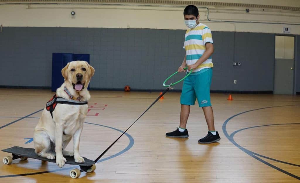 Benefits of pet therapy