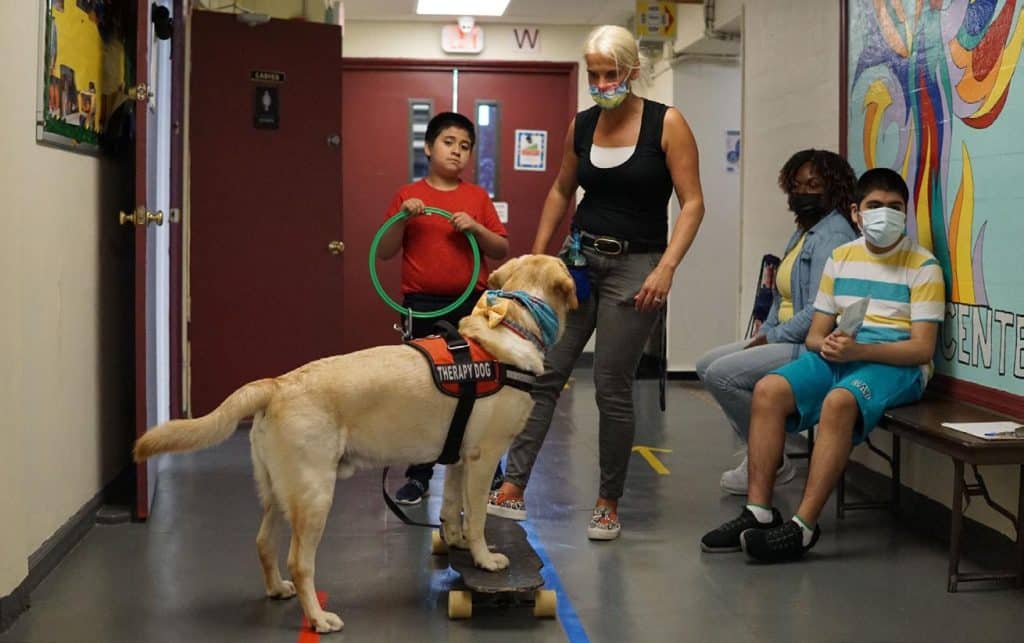Pet Therapy for Children with Autism
