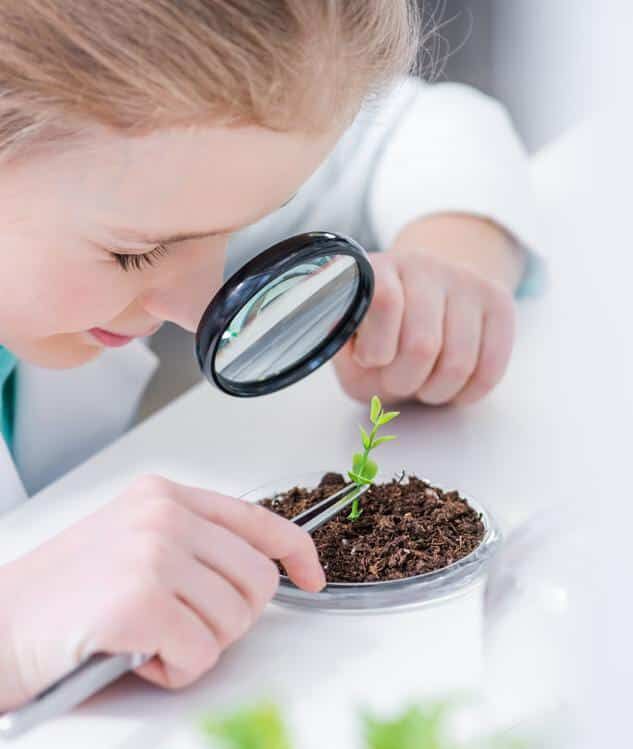 Why Parents Should Feed Children’s Special Interests
